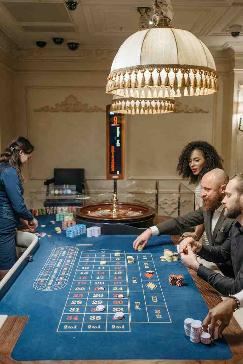 catcasinono.com catcasinono.com
